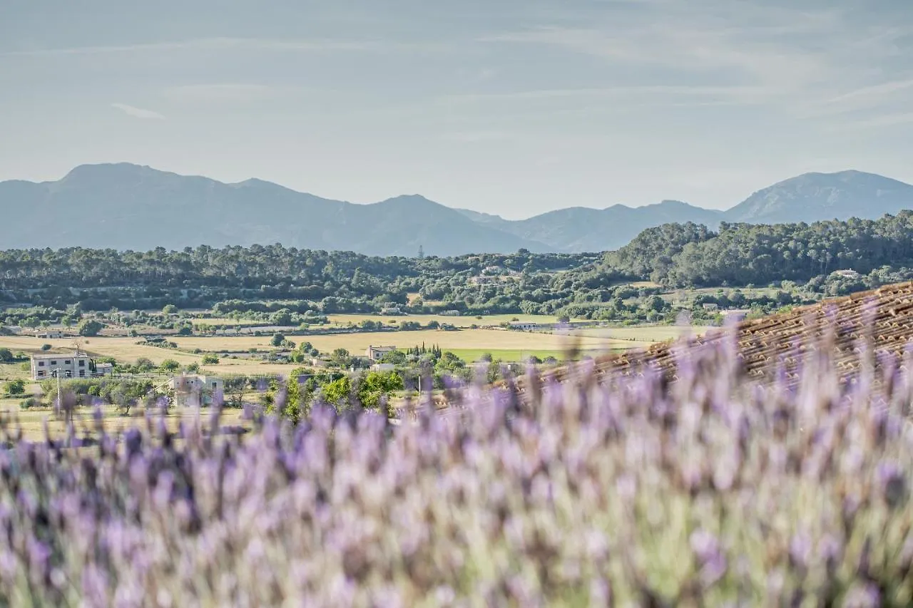 Agroturismo Sa Rota D' En Palerm By Mhr Lloret de Vistalegre Bauernhof